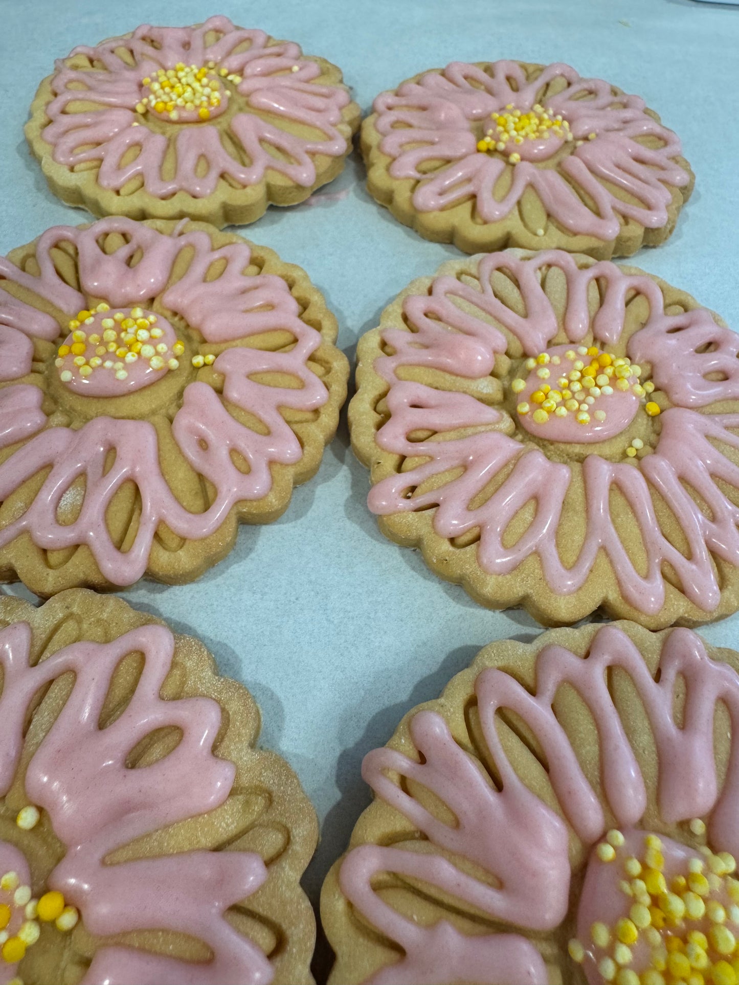 Cabinet Iced Cookies PICK UP ONLY