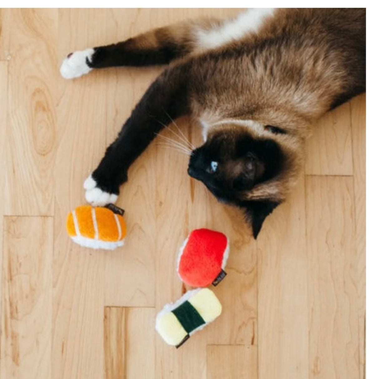 P.L.A.Y Feline Frenzy - SUSHI (3)