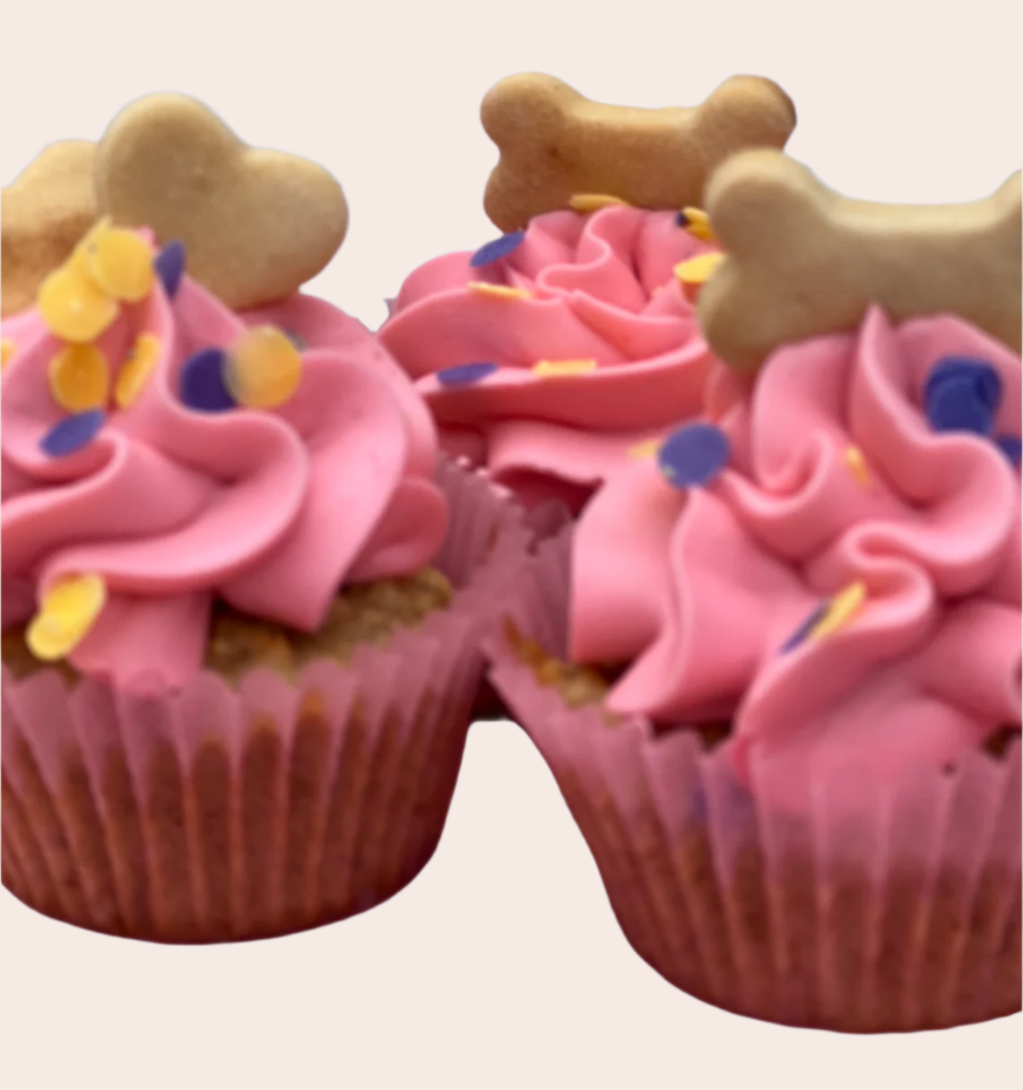Custom Dog Pupcakes Available in 6 and 12 PICK UP ONLY