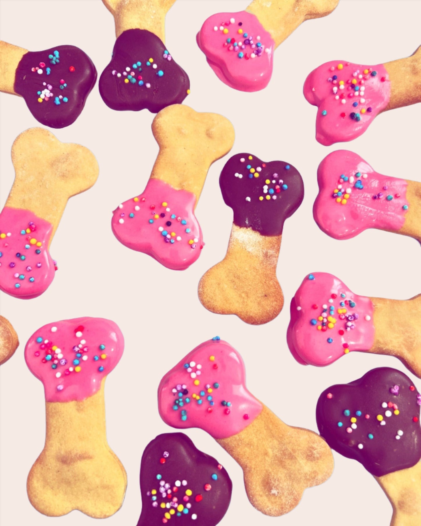 Party Bones Dog Cookies