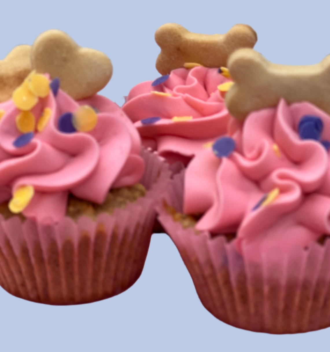 Custom Dog Pupcakes  Available in 6 and 12  PICK UP ONLY